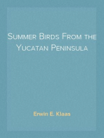 Summer Birds From the Yucatan Peninsula