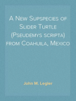 A New Supspecies of Slider Turtle (Pseudemys scripta) from Coahuila, Mexico