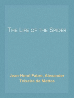 The Life of the Spider