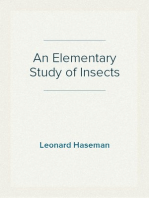 An Elementary Study of Insects