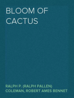 Bloom of Cactus