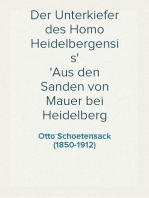Der Unterkiefer des Homo Heidelbergensis
Aus den Sanden von Mauer bei Heidelberg