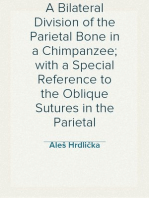 A Bilateral Division of the Parietal Bone in a Chimpanzee; with a Special Reference to the Oblique Sutures in the Parietal