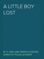 A Little Boy Lost