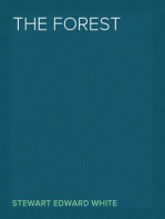 The Forest