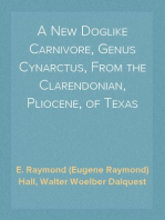 A New Doglike Carnivore, Genus Cynarctus, From the Clarendonian, Pliocene, of Texas