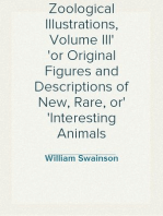 Zoological Illustrations, Volume III
or Original Figures and Descriptions of New, Rare, or
Interesting Animals