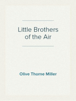 Little Brothers of the Air