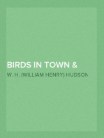 Birds in Town & Village