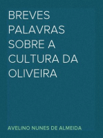 Breves palavras sobre a cultura da Oliveira