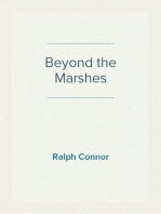 Beyond the Marshes