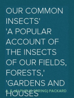 Our Common Insects
A Popular Account of the Insects of Our Fields, Forests,
Gardens and Houses