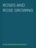 Roses and Rose Growing