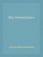 Bez przewodnika