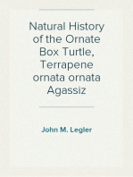 Natural History of the Ornate Box Turtle, Terrapene ornata ornata Agassiz