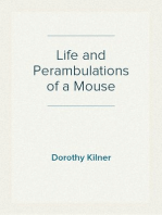 Life and Perambulations of a Mouse