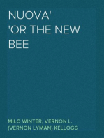 Nuova
or The New Bee