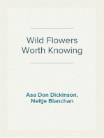 Wild Flowers Worth Knowing