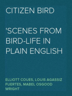 Citizen Bird
Scenes from Bird-Life in Plain English for Beginners