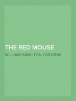 The Red Mouse