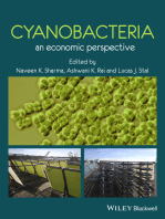 Cyanobacteria: An Economic Perspective