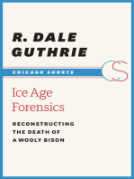 Ice Age Forensics: Reconstructing the Death of a Wooly Bison