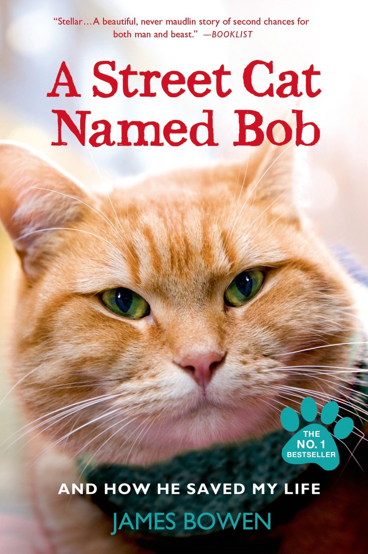 A Street Cat Named Bob by James Bowen Book Read Online