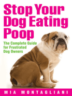 Stop Your Dog Eating Poop