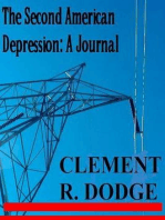 The Second American Depression: A Journal