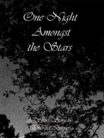 One Night Amongst the Stars: A Short Story