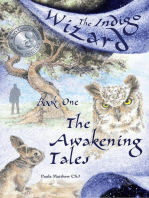 Indigo Wizard Book One: The Awakening Tales