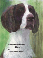 A Florida Bird Dog ~ Rex