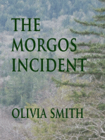 The Morgos Incident