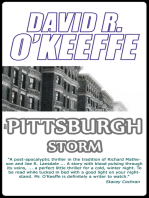 A Pittsburgh Storm