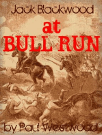 At Bull Run