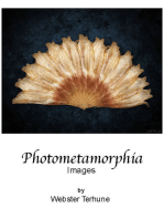 Photometamorphia