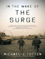 In the Wake of the Surge