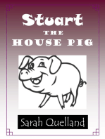Stuart the House Pig