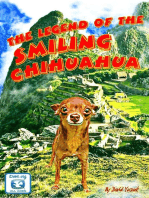 The Legend of the Smiling Chihuahua