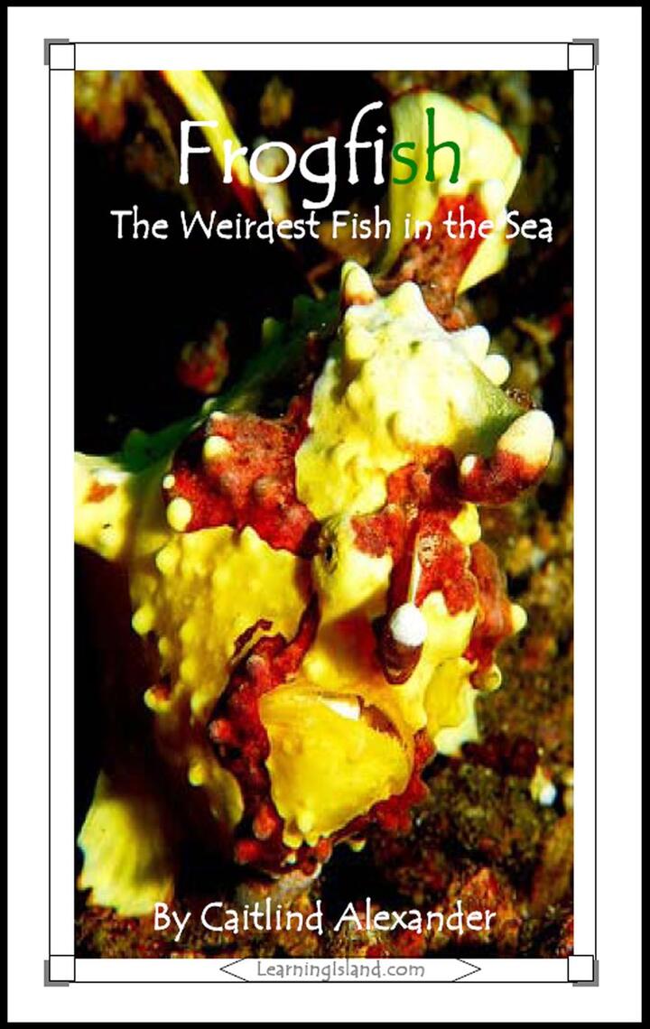 Frogfish: The Weirdest Fish in the Sea by Caitlind L. Alexander (Ebook ...