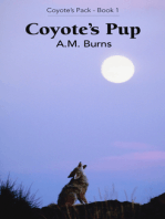 Coyote's Pup