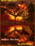 Follow The Sun