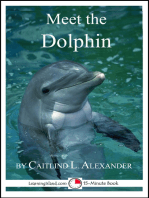 Meet the Dolphin