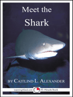 Meet the Shark: A 15-Minute Book