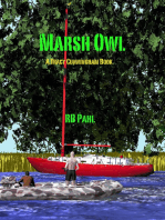 Marsh Owl