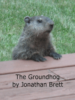 The Groundhog: A Short Story