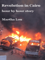 Revolution in Cairo (hour by hour story)