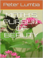 Moth's Pursuit of Beauty