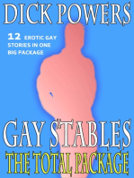 Gay Stables: The Total Package