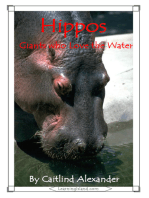 Hippos: Giants Who Love the Water
